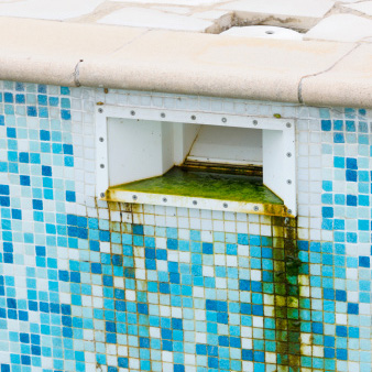Pool-calcium-deposits
